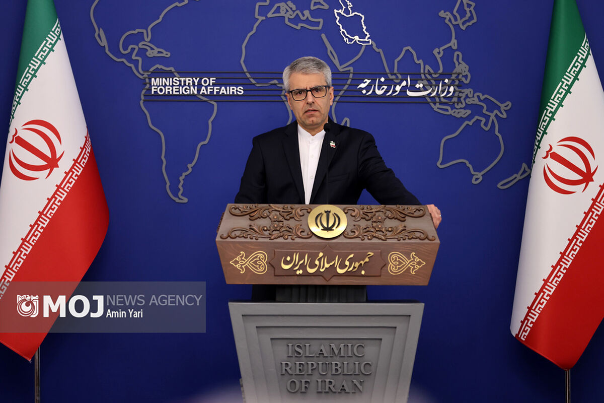 اسماعیل بقائی، سخنگوی وزارت امور خارجه
