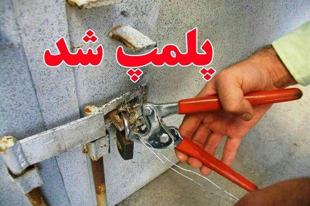پلمپ دندانپزشکی