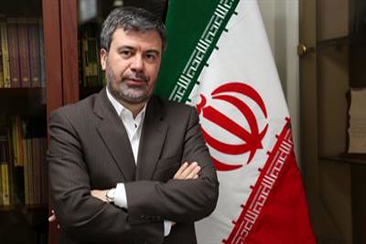 مدیرصندوق تامین خسارت های بدنی