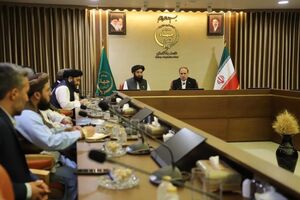 ظرفیت‌های توسعه همکاری‌های تجاری به سرمایه‌گذاران ایران و افغانستان معرفی شود
