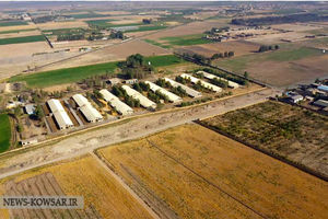  تحقق سود خالص ۹۸ درصدی در شرکت کشت و صنعت اشراق