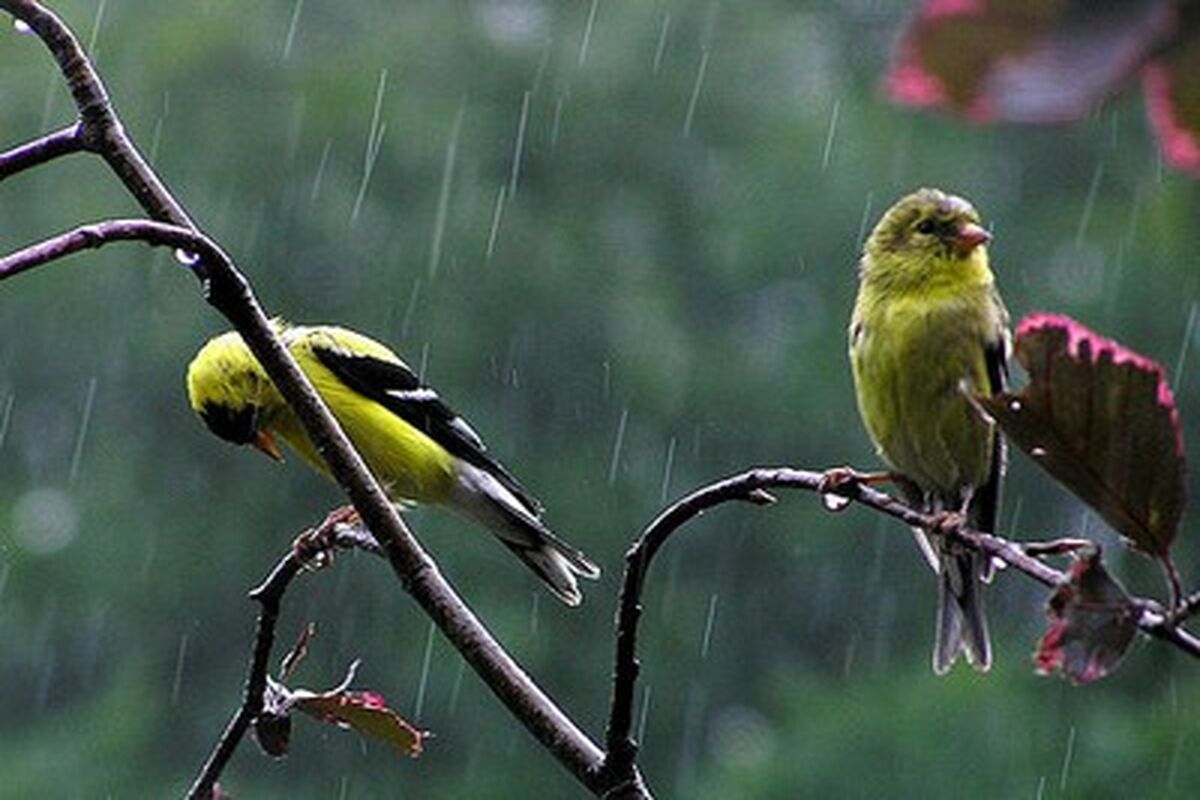 وضعیت هواشناسی خوزستان