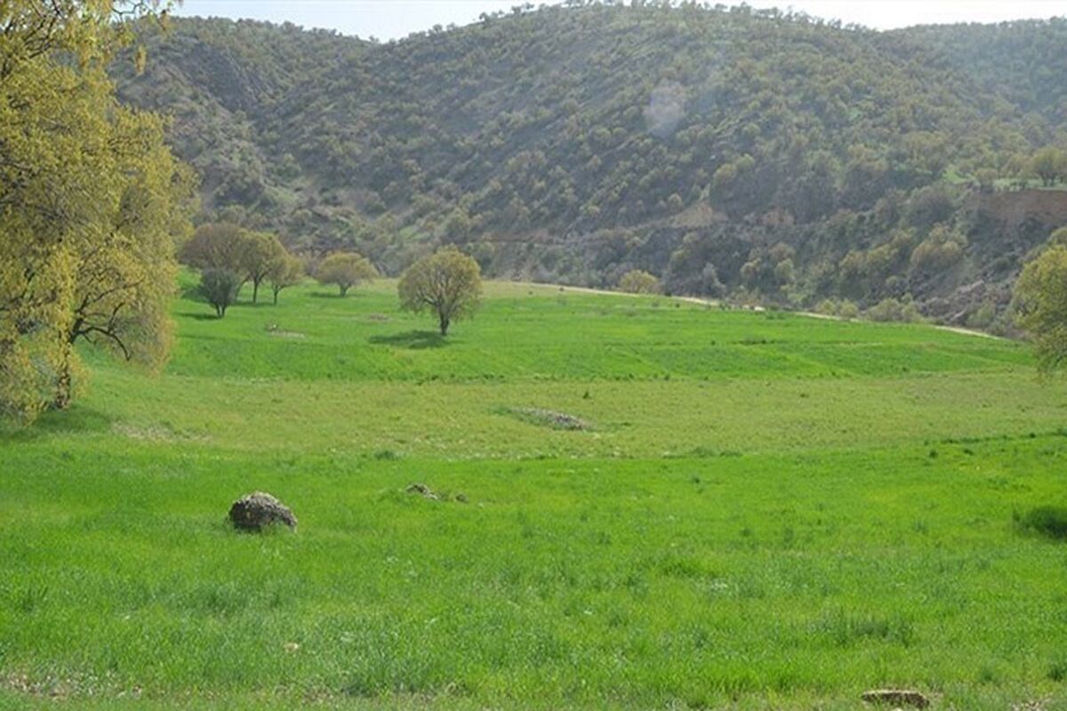 منابع طبیعی رامسر