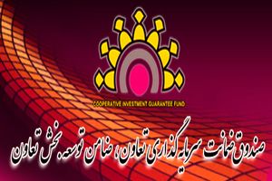 نمایندگی صندوق ضمانت سرمایه گذاری تعاون در هرمزگان شروع به کار کرد