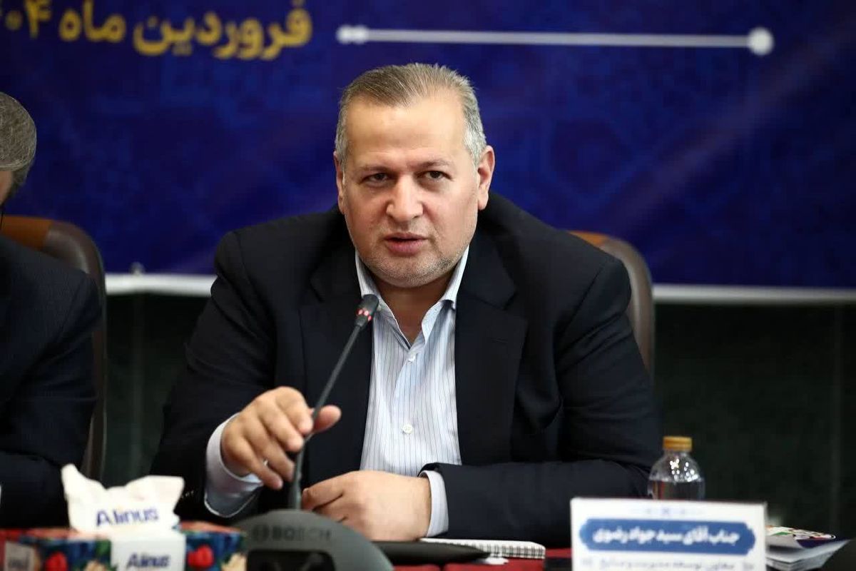 معاون توسعه مدیریت و منابع وزارت تعاون، کار و رفاه اجتماعی