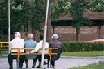 فارس برای تقویت جایگاه سالمندان، پارک اختصاصی طراحی می‌کند