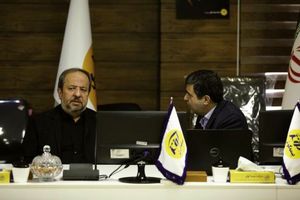 هم‌افزایی با ذی‌نفعان 