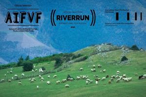 سه جشنواره اسکار «گوسفند» را تایید کردند