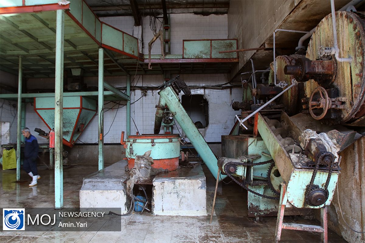 بازدید دبیر ستاد رفع موانع تولید کشور از شرکت گوشت و مرغ ری تیهو 