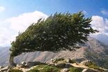 بادهای ۱۲۰ روزه به شرق ایران رسید