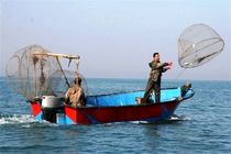 رزمایش مشترک در هرمزگان همزمان با اجرای طرح دریابست