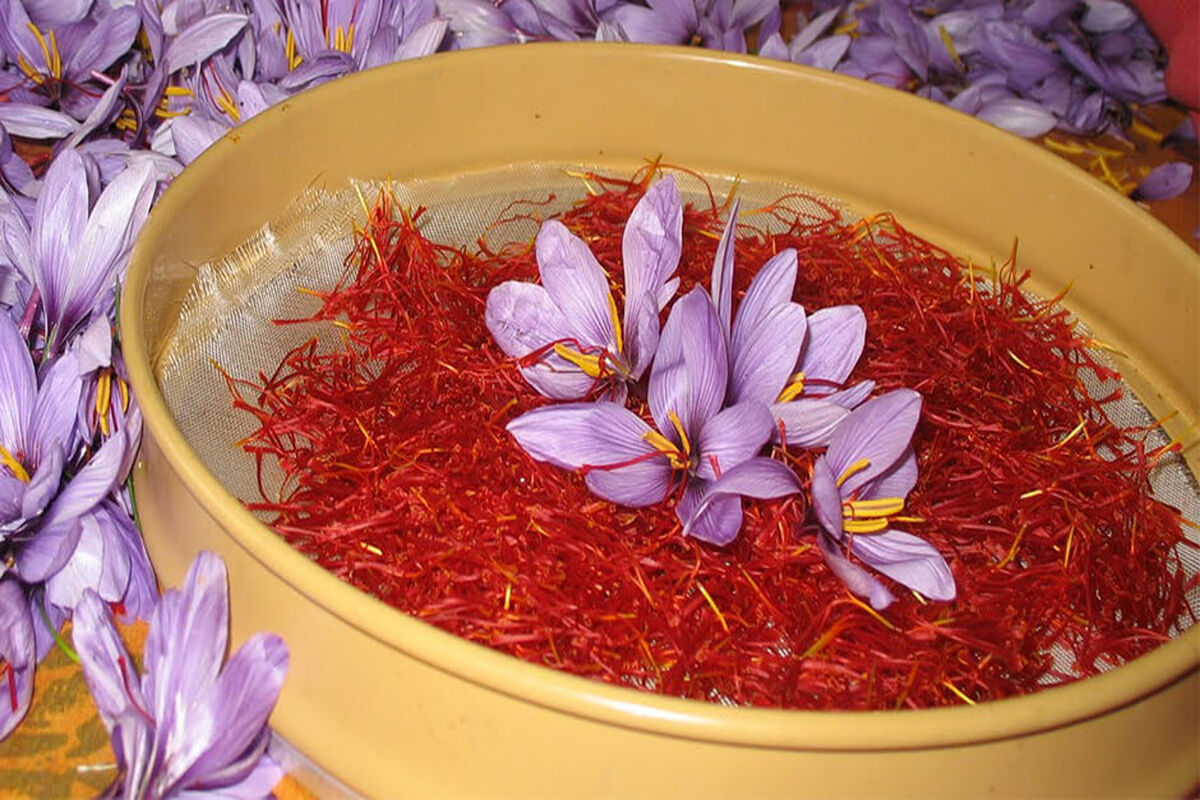 زعفران‌کاران