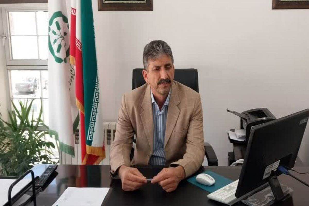 بیگی