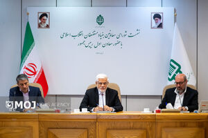 بنیاد مستضعفان رقیب دولت نیست