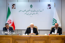 بنیاد مستضعفان رقیب دولت نیست