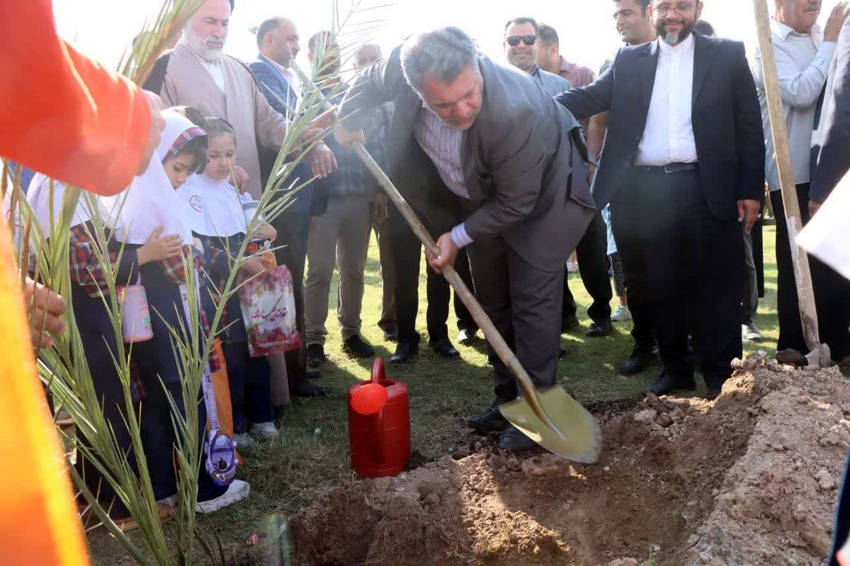 کاشت نهال