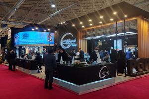 ظرفیت نصب شده صنعت پتروشیمی از ۹۰ میلیون تن گذشت