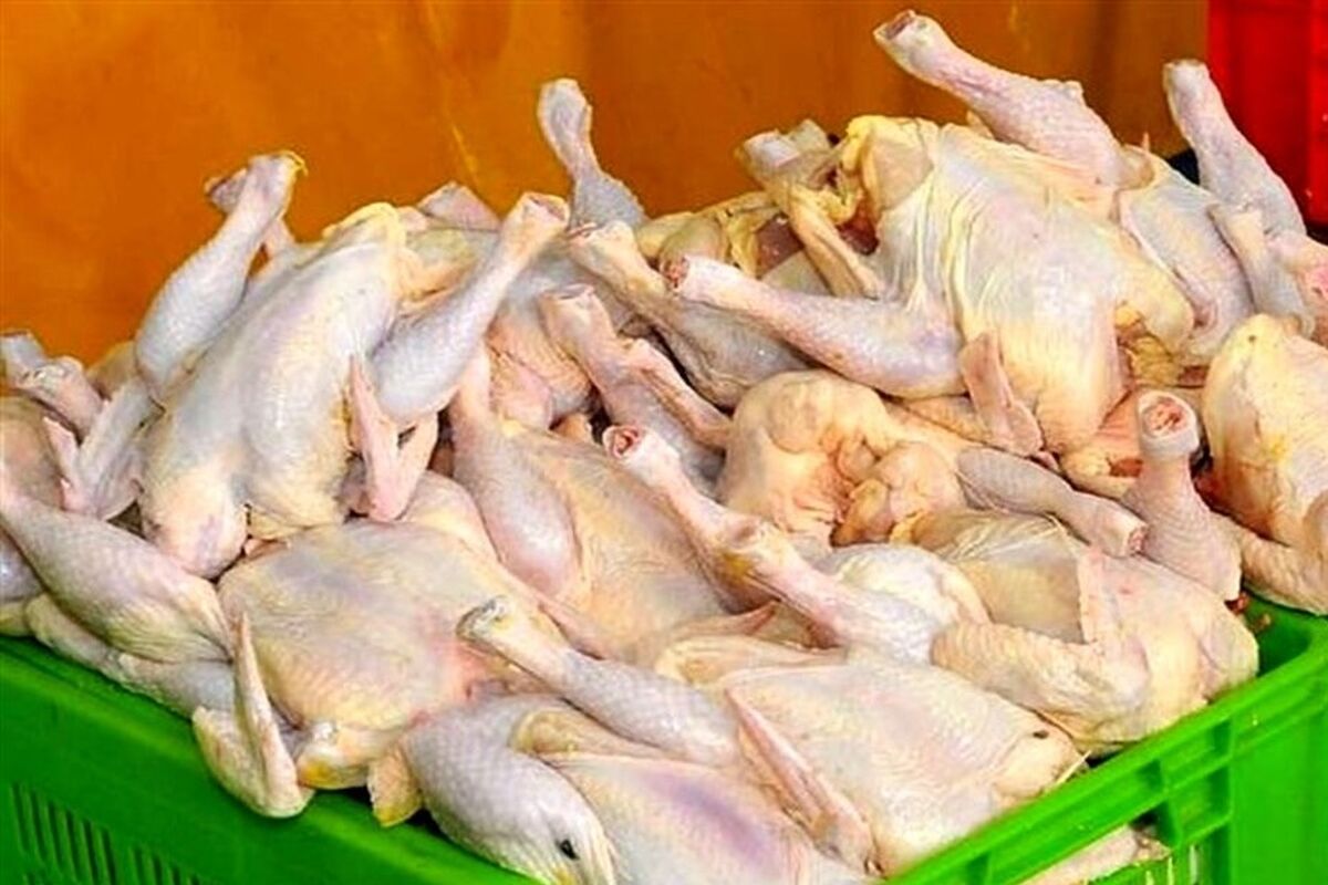 مرغ