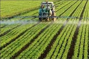  106 طرح کشاورزی برای دریافت تسهیلات به بانک های عامل معرفی شد