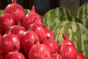 قیمت هنداونه امسال به نسبت سال قبل ۳۰ درصد کمتر است
