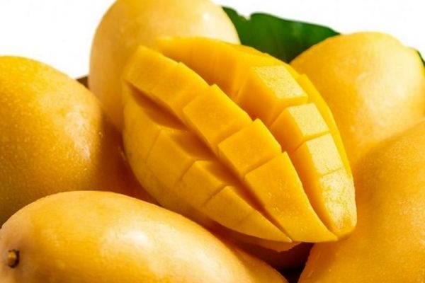 چراغ سبز دولت به واردات انبه از کنیا