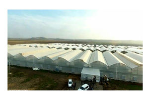 ناتوانی مالی دانش‌آموختگان کشاورزی، مانع استقبال از شهرک گلخانه‌ای کاشمر شد