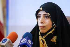 امین زاده در دیدار سفیر هلند خواستار استفاده از تجربیات هلند شد