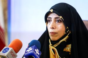 امین زاده در دیدار سفیر هلند خواستار استفاده از تجربیات هلند شد