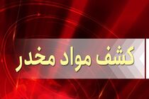 کشف ۴۸۳ کیلوگرم تریاک در عملیات مشترک پلیس فارس و هرمزگان