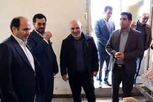 بازدید معاون استانداری اصفهان از هسته های کارآفرینی اجتماعی در کرمان+ تصاویر