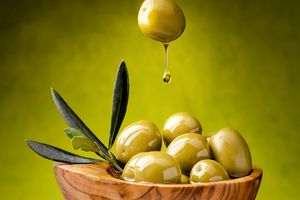 افزایش ۵ برابری تولید روغن زیتون کشور در برنامه ششم توسعه