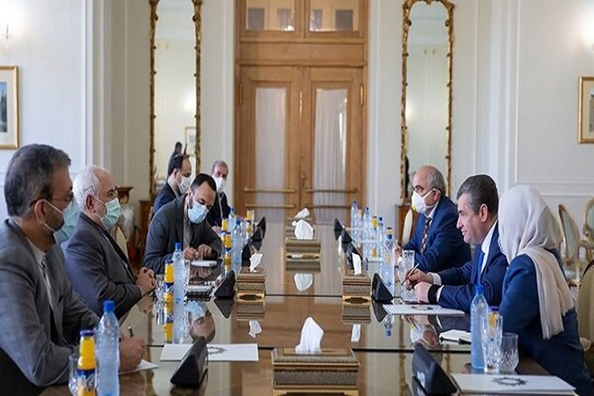 دیدار لئونید اسلوتسکی با ظریف1