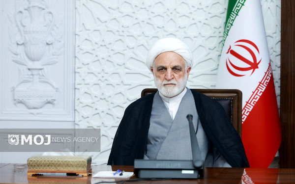 تمرکز نیرو‌های فراجا باید معطوف بر پیشگیری از اغتشاشات باشد + فیلم