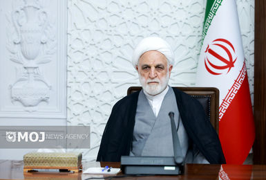 آثار مثبت اجتماعی آزادسازی زندانیان جرائم غیرعمد تبیین و تشریح شود