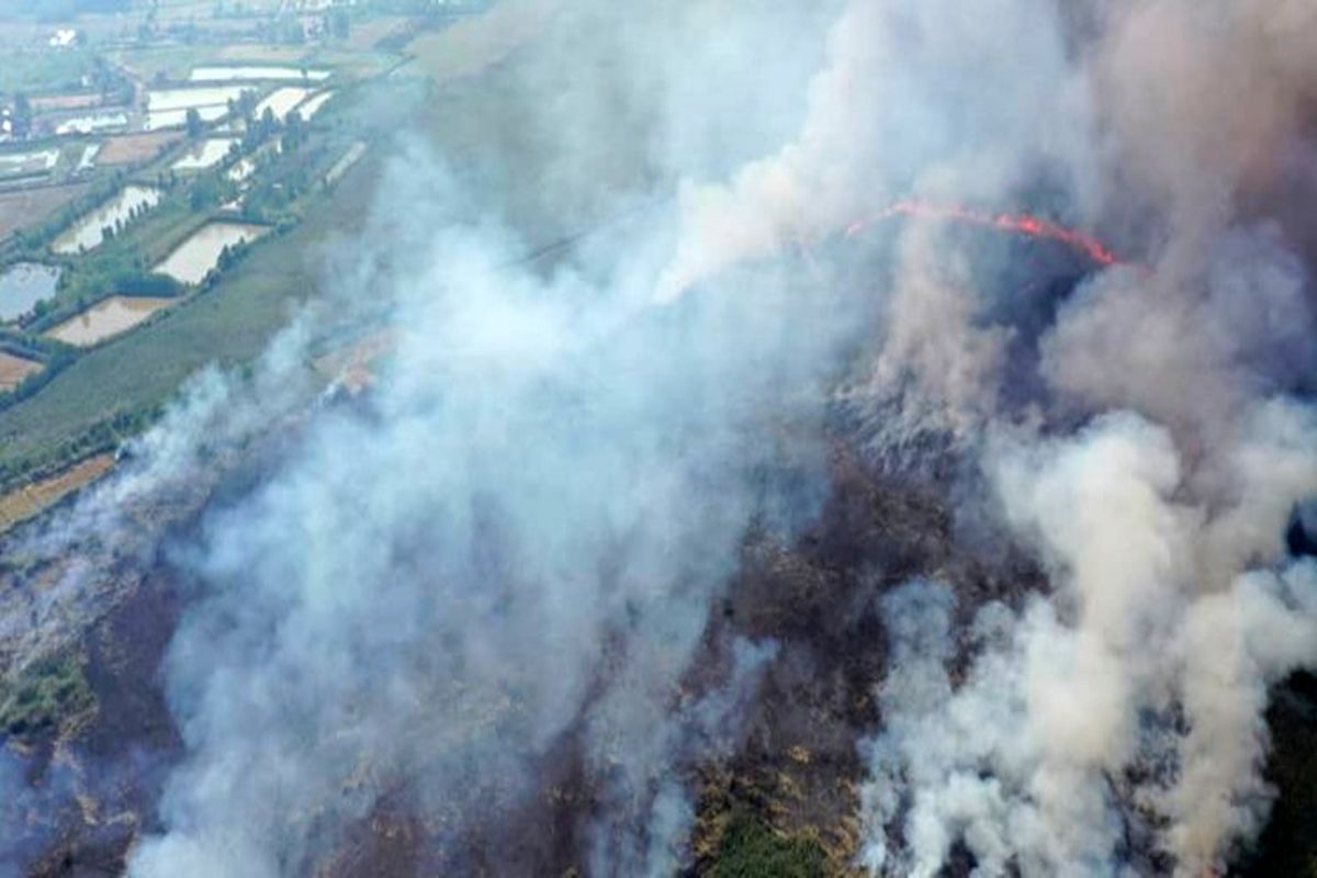 آتش سوزی در تالاب انزلی