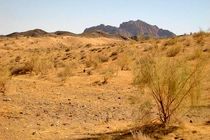 اجرای پروژه های بیابان زدایی با اعتباری بالغ بر ۱۵ میلیارد ریال