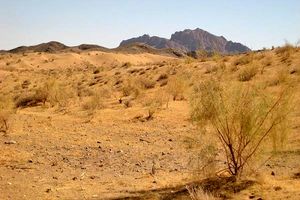 اجرای پروژه های بیابان زدایی با اعتباری بالغ بر ۱۵ میلیارد ریال