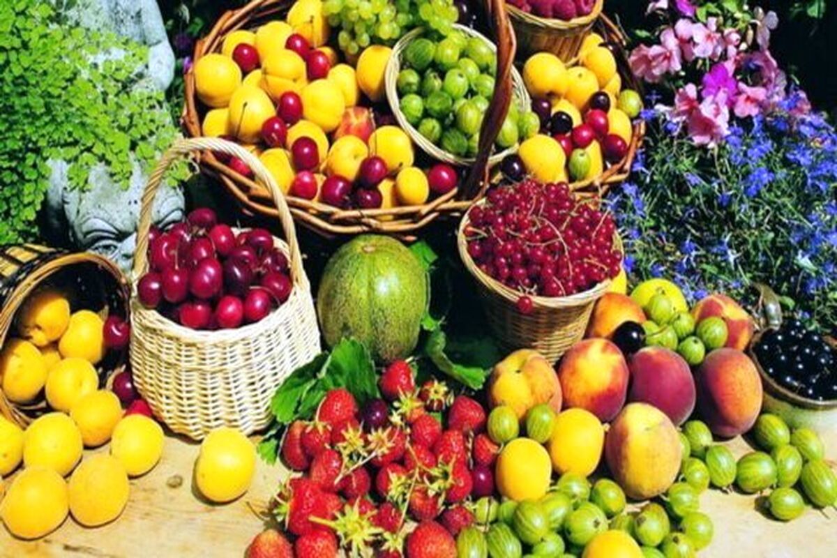 میوه جات