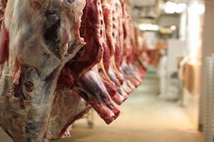 آمادگی 36 اکیپ دامپزشکی برای روز عید قربان در اردبیل