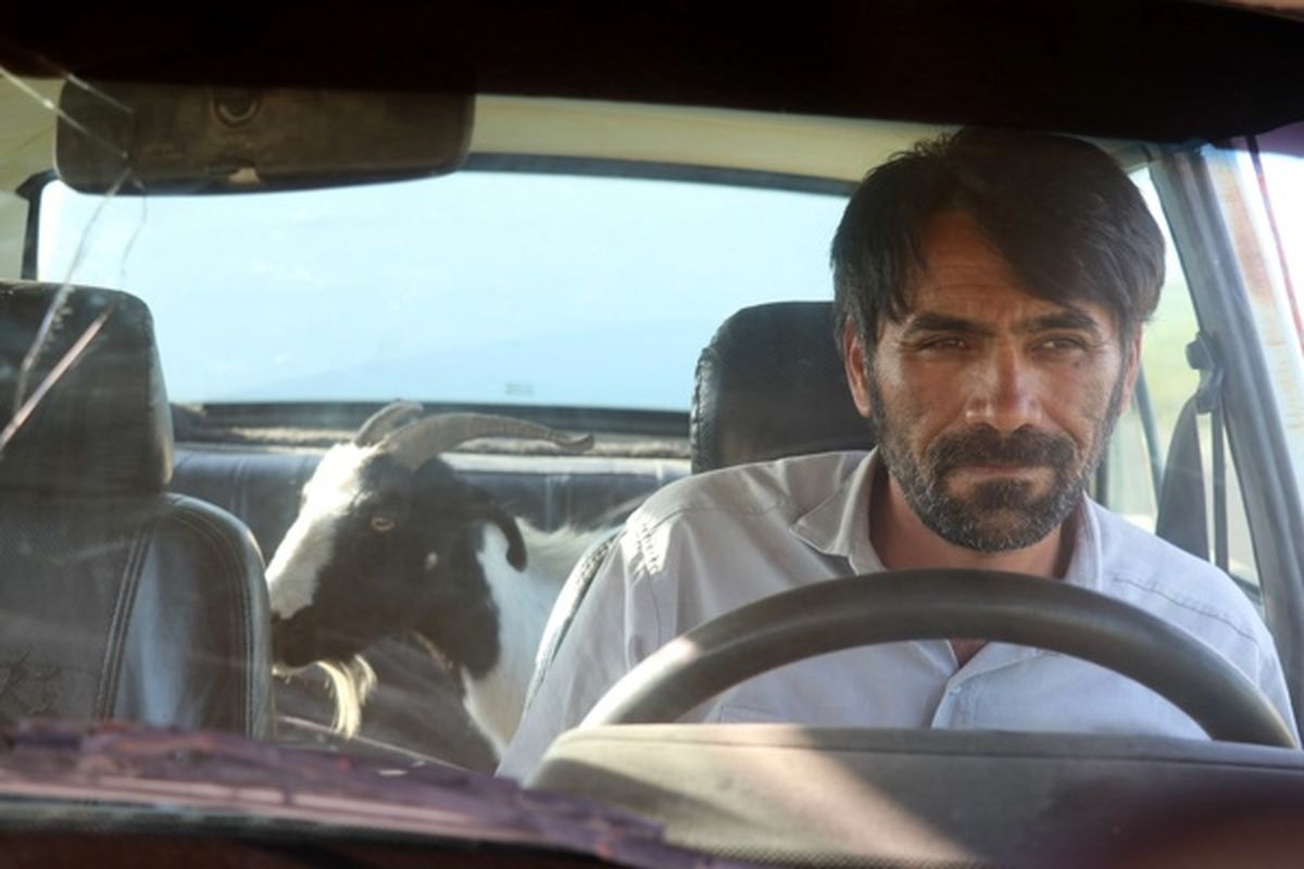 فیلم سینمایی درب