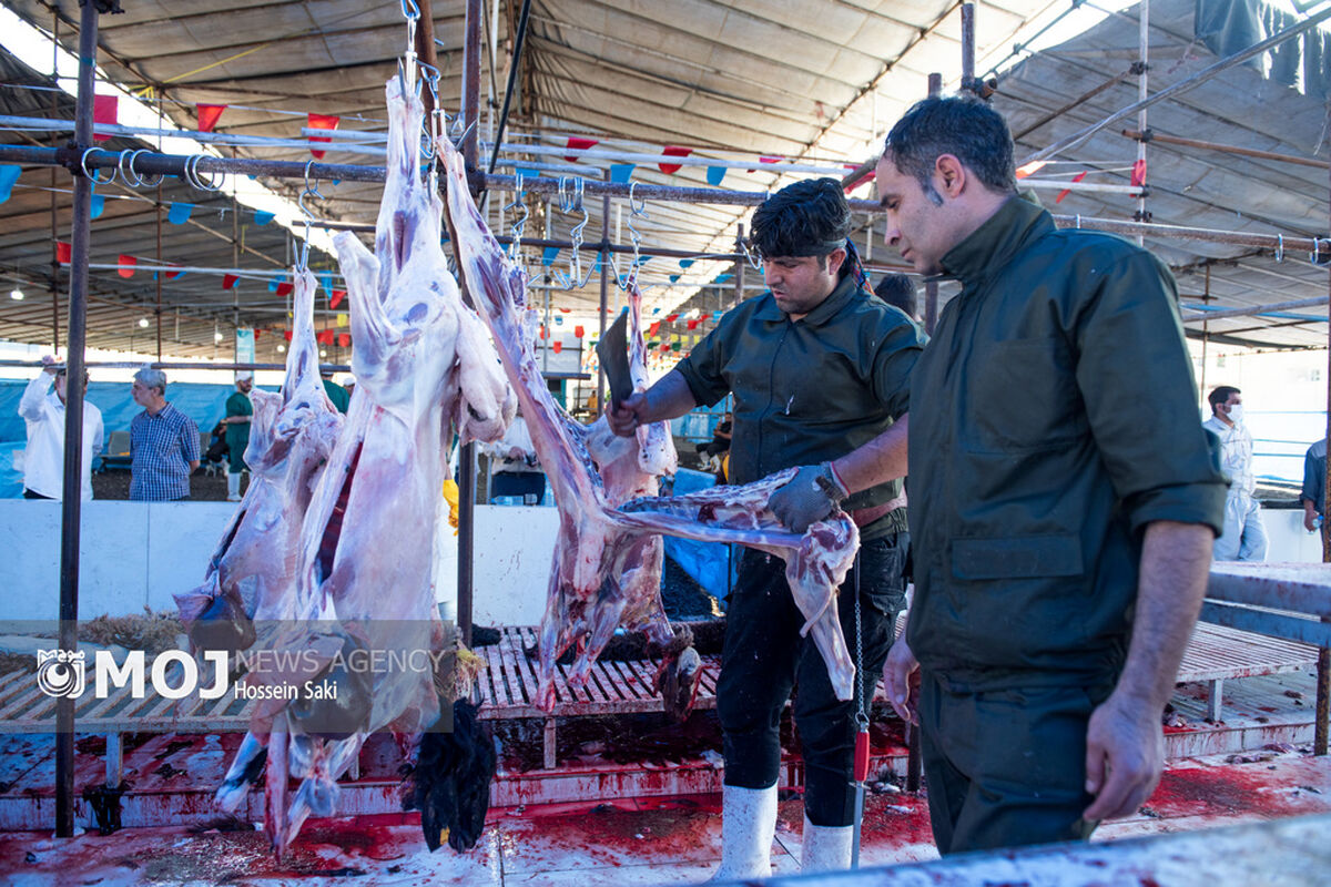 خرید و ذبح دام عید قربان در تهران
