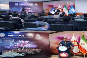 رونمایی از طرح بزرگ «زعفران کارت»