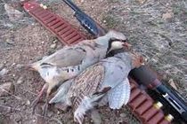 سه نفر متخلف شکار و صید در شهرستان سمیرم دستگیر شدند