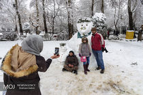 مدارس نوبت عصر شهرستان های تهران تعطیل شدند