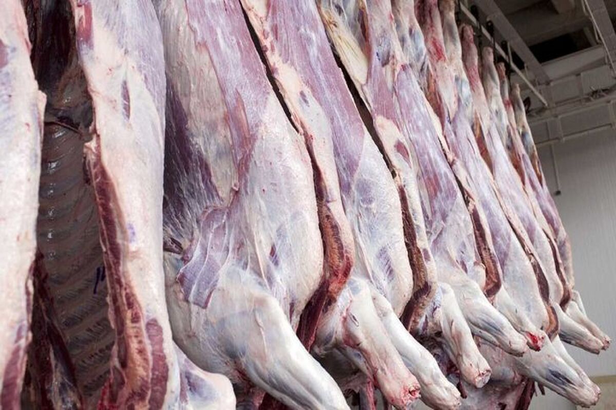 واردات گوشت