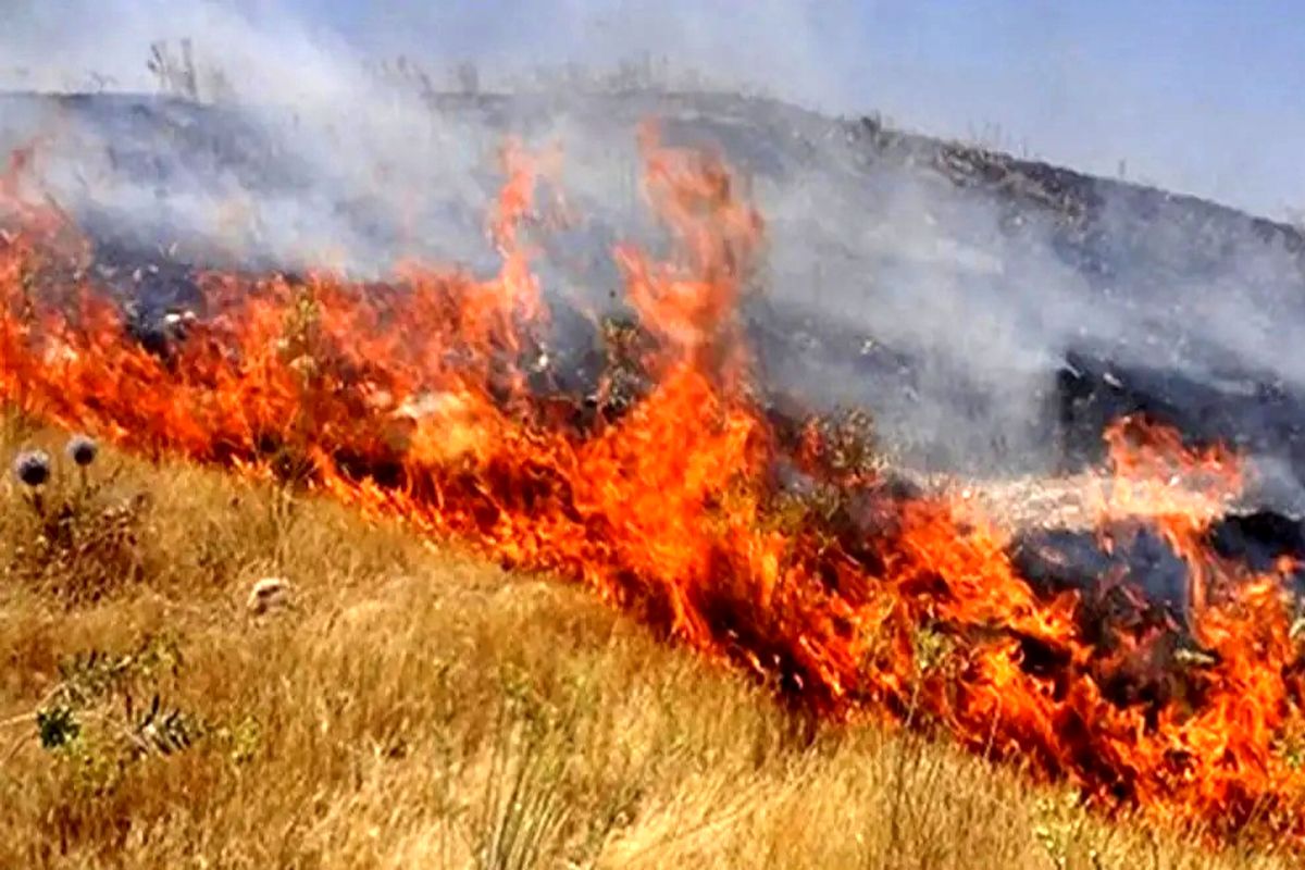 آتش+سوزی+مراتعع