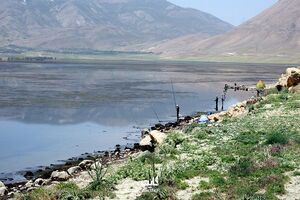 کاهش ۶۰ درصدی ذخیره آب تالاب چغاخور نسبت به سال گذشته