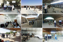 بازدید ناظران نظام مهندسی کشاورزی یزد بر کارگاه های ساخت سازه گلخانه