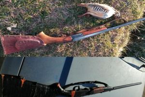 دستگیری شکارچیان متخلف در شهرستان مشگین شهر