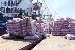 فرایند تخلیه هزار تن برنج وارداتی در بندر سجافی هندیجان آغاز شد